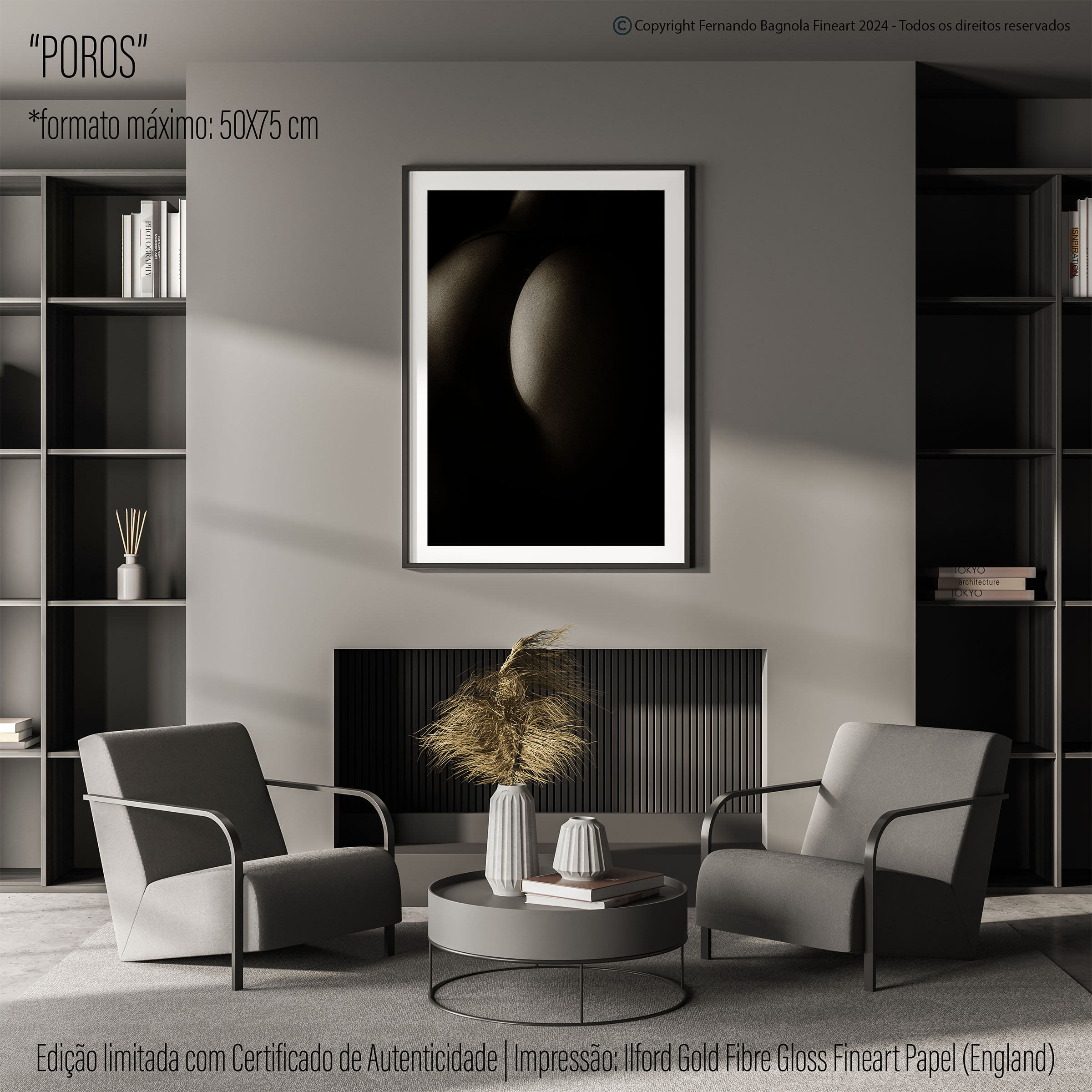 Obra FA-017 apresentada num ambiente