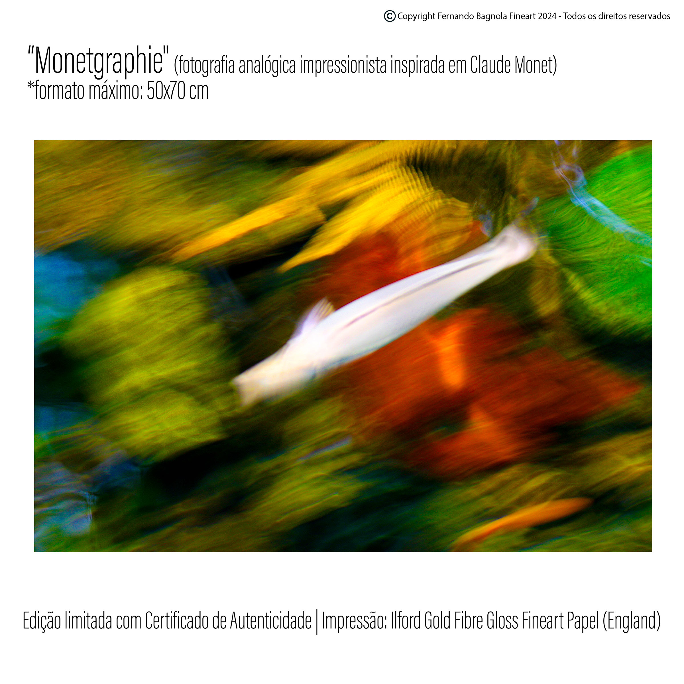 Obra fotogrÃ¡fica FA-021