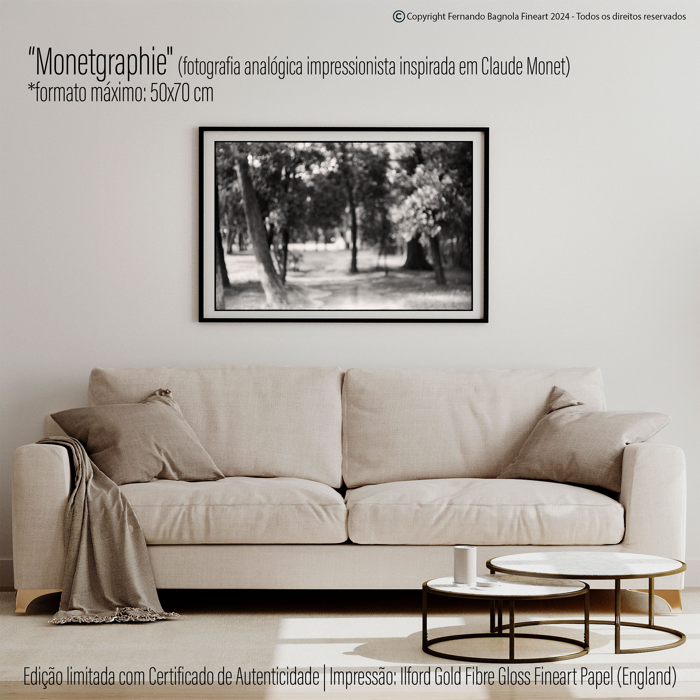 Obra FA-039 apresentada num ambiente